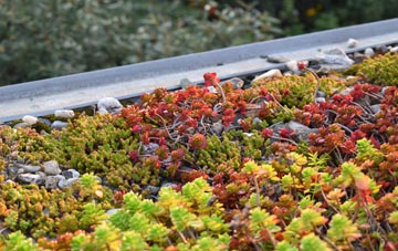 the cost of Draughton green roof installation