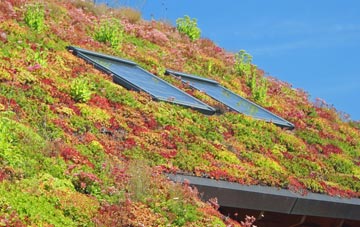 Draughton living roof systems